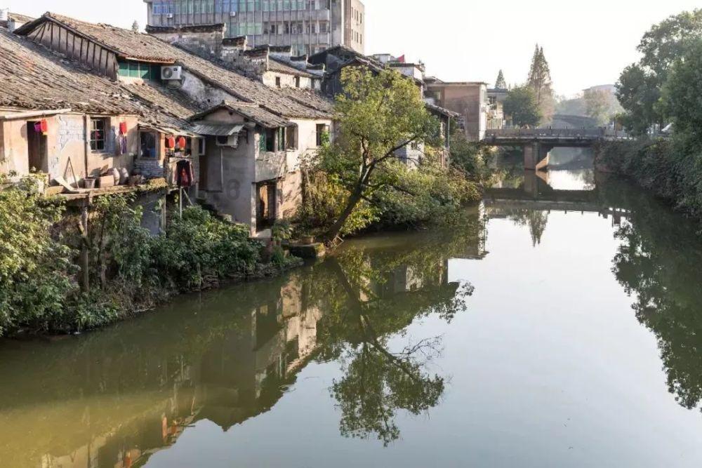 虎胆熊威3